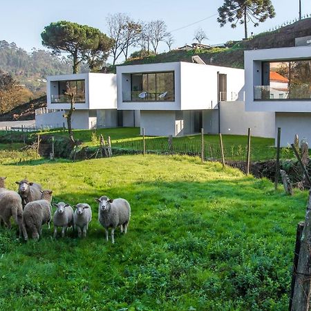 Viana Do Castelo - Amonde Village - Casa L - Disfrute Da Natureza Екстериор снимка