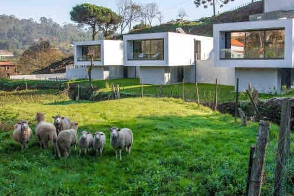 Viana Do Castelo - Amonde Village - Casa L - Disfrute Da Natureza Екстериор снимка