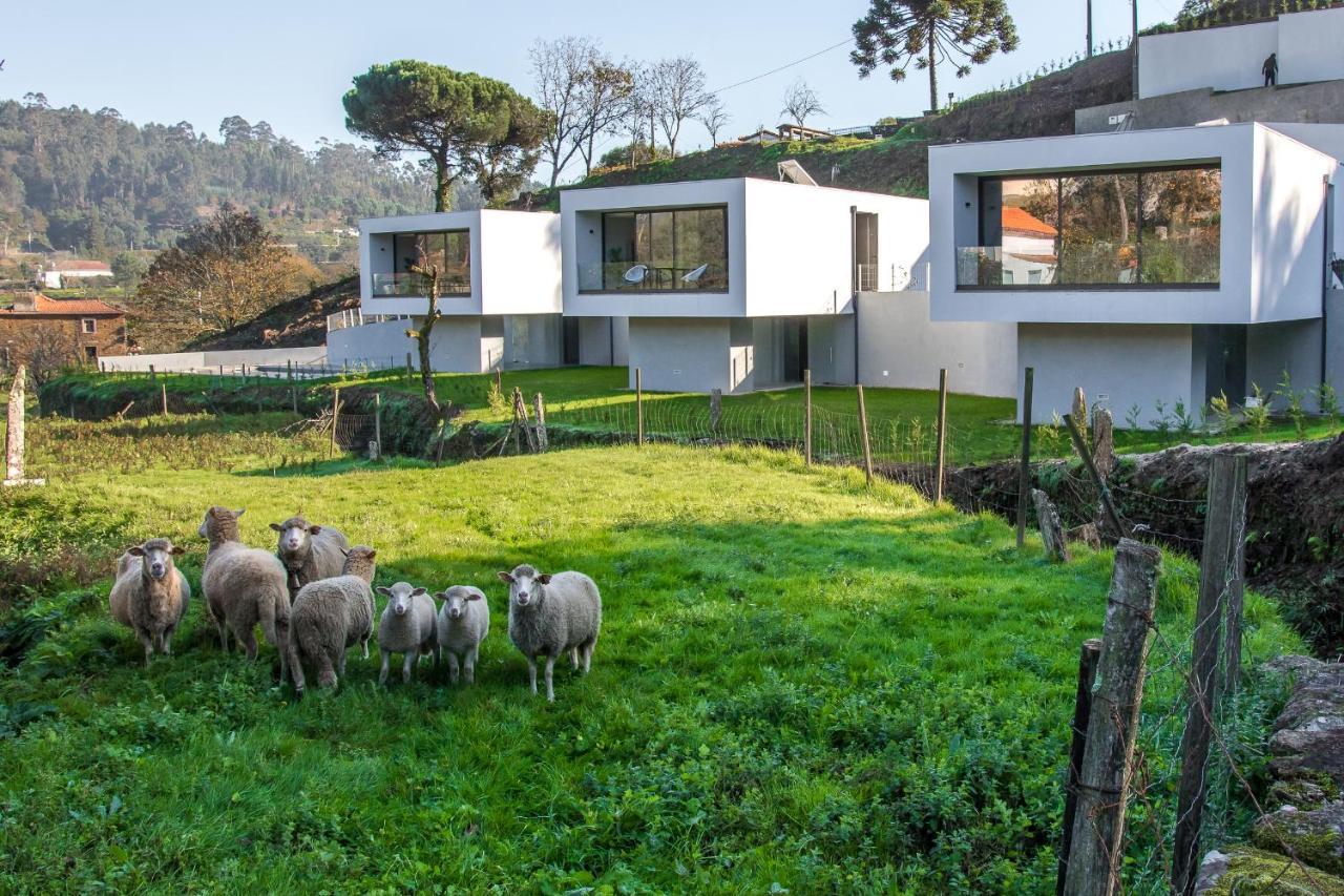 Viana Do Castelo - Amonde Village - Casa L - Disfrute Da Natureza Екстериор снимка